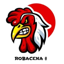 TREINO ROBACENA