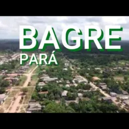 Vendas de bagre