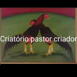 Criatório Pastor Criador.. Cultura Milenar