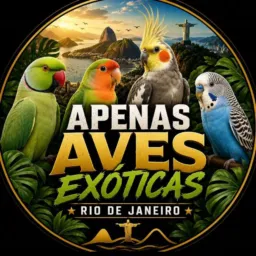 APENAS AVES EXÓTICAS  RIO DE JANEIRO