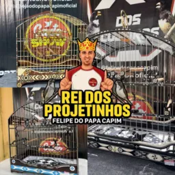 GRUPO DA BENÇÃO 💰🤑💸- 2025 FELIPE DO PAPA CAPIM
