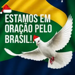 Tapejara voz do povo🤠