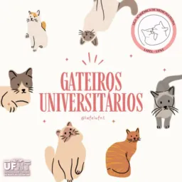 Gateiros Universitários UFNT 🐈