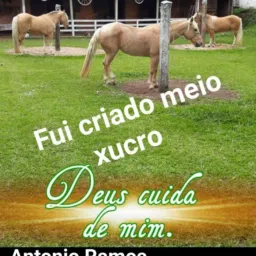 GALPÃO GAÚCHO & SERTANEJO CAVALOS & CAVALGADA CHAMA QUE NÃO SE APAGA