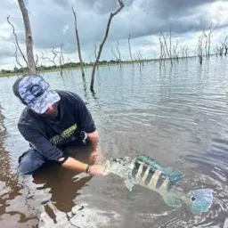 Pesca no Lago. Compra, Venda e Troca de Material de Pesca.