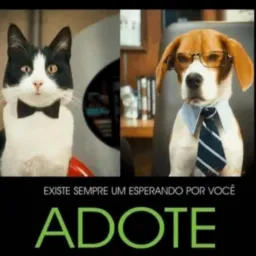 Adopción de mascotas  🐶🐱