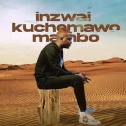 DR MAKAZVIKONA #MUNANDI NGOMA AFTER NGOMA