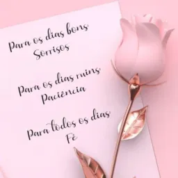 ✳️✨Setor Barreiro💃🕺✨✳️