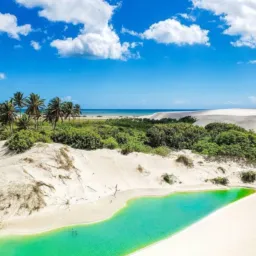 Excursão praia de  jericoacara