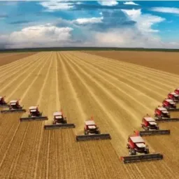 Compra e vendas  de Rondônia para o Brasil