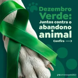 🐾Adoção & Doação Responsável De Animais, Vendas De Animais E Tudo Relacionado Somente Aos Mesmos 🐈⬛🦮