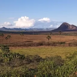 Alto paraíso divulgações