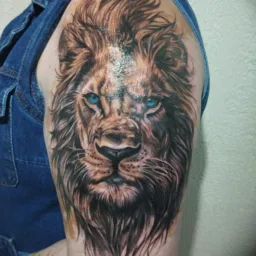 Tattoo 30cm 300$ 🔥