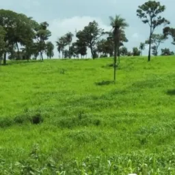 VENDA CASA LOTE SITIO PTU