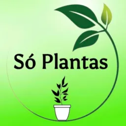 SÓ PLANTAS 01