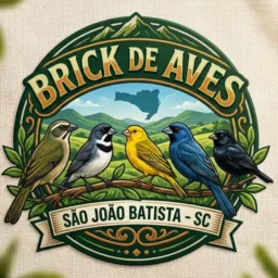 Brick de aves de são João e região 🦜