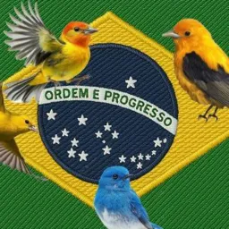 ASSOBIADORES PROFISSIONAIS✅