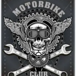 free lance moto clube 16