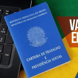 Empregos e Mercado de trabalho