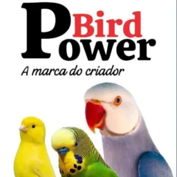 Psitacídeos e exóticos