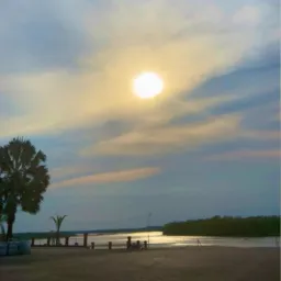 TUDO ARUANÃ 2025 🌴
