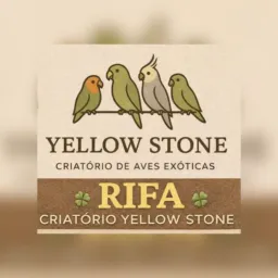 RIFAS YELLOW STONE - TERRA ROXA PR