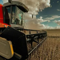 Negócios agrícolas Planalto Norte SC, e sul do Paraná
