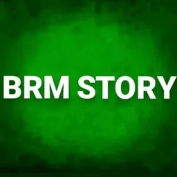 GRUPO DE VENDAS BRM STORY