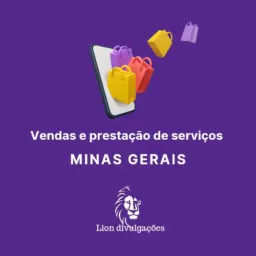 Vendas e prestação de serviços Minas Gerais