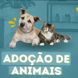 Somente doações