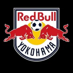 GRUPO DE TESTE RB YOKOHAMA 🔴⚪️