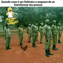 Papo e meme 100%