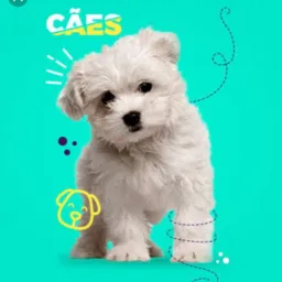 🦋🐶🐱PET VENDA TROCA DOACAO 😺