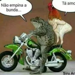Figurinha e vídeos engraç