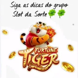 SLOST DA SORTE 😍🤑🐯