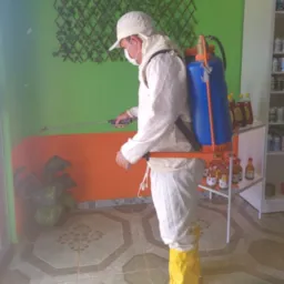 Dedetizadora e desentupidora santos Almeida
