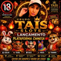 🇨🇳💸🎰Lançamento chinesa com bônus 🎰💸🇨🇳