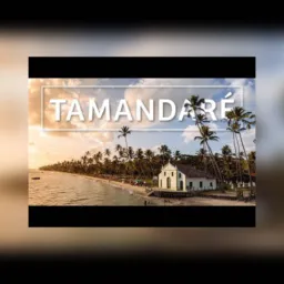 Tamandaré Ordinário vendas e compras