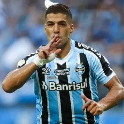 RF VENDAS