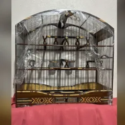 “rifa de uma gaiola de coleiro luxo ”
