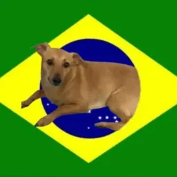 EVENTOS BRASIL Y FOX 🦊
