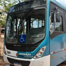 GALERA DE MORADA NOVA 🚎