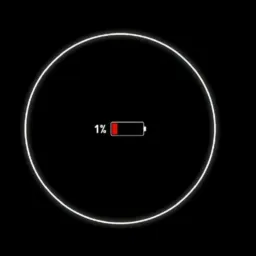 1% disciplina