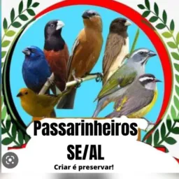 Passarinheiros SE/AL