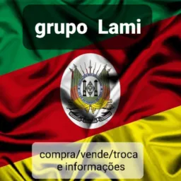 Grupo Lami compra venda e troca