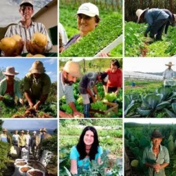 CAPELINHA Rural🐮🐷🐽🐔🐤🐣🐥🪿🦆🐴🐝🐟🐃🐄🐎🐐🦮🦃🐓🌴🌳