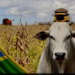 Agronegócio comprar e vendas gado fazenda e máquinas agrícola e caminhões