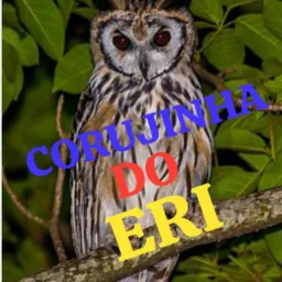 CORUJINHA DO ERI