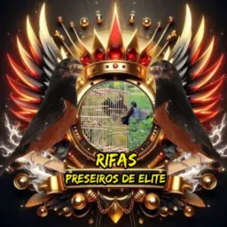 RIFA DE UM CURIO PRESEIRO 🦅🗳️💥"