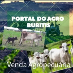 Portal do Agro🧑🏻🌾 Buritis